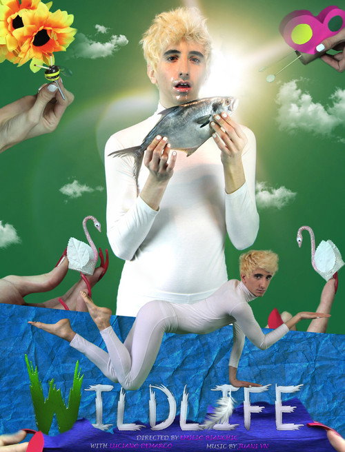 Wildlife