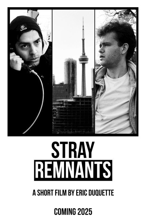 Stray Remnants