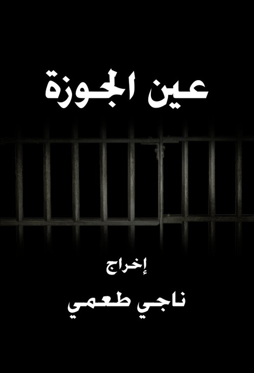 Ain El Jawze