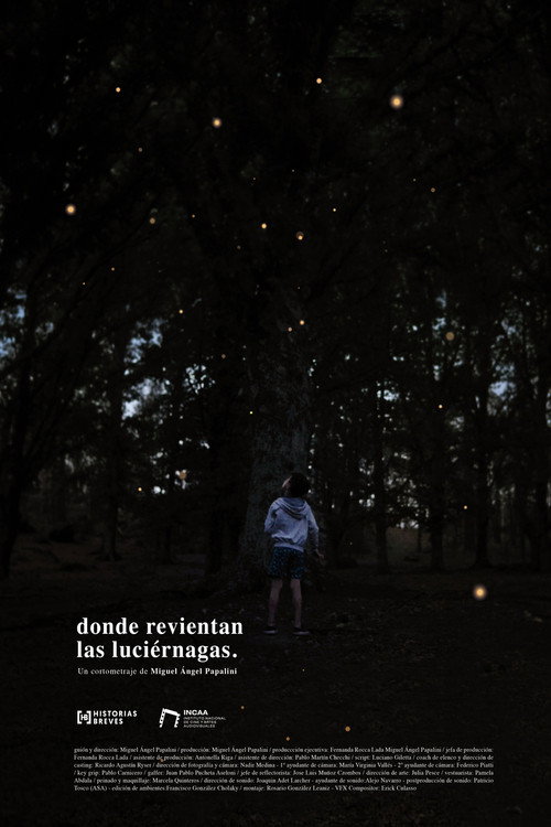 Where the fireflies burst