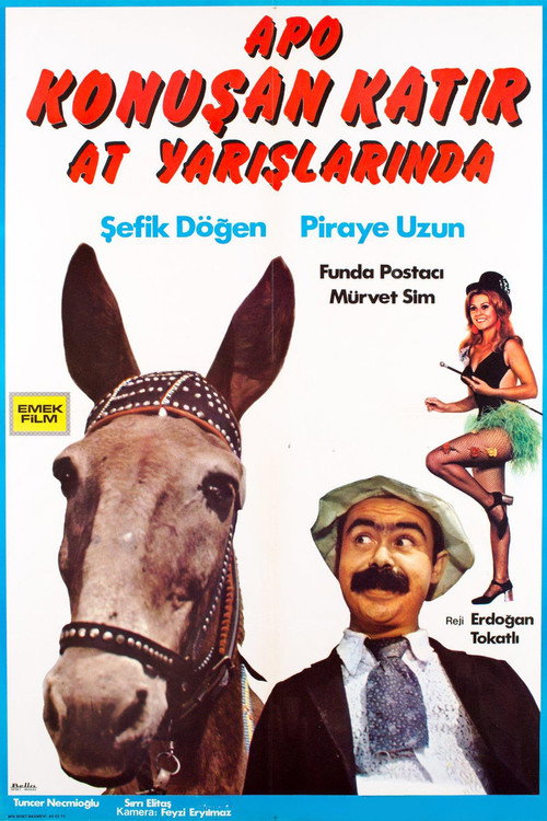 Apo Konuşan Katır At Yarışlarında
