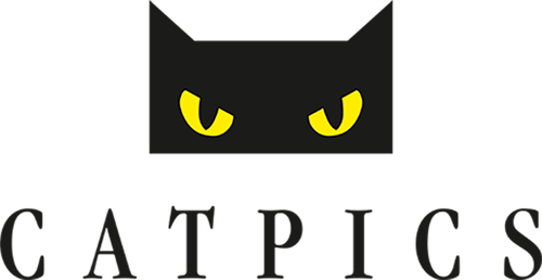 Catpics