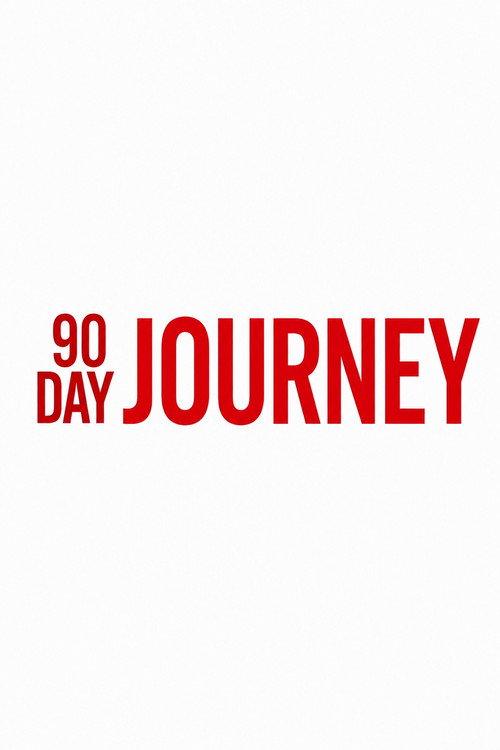90 Day Journey
