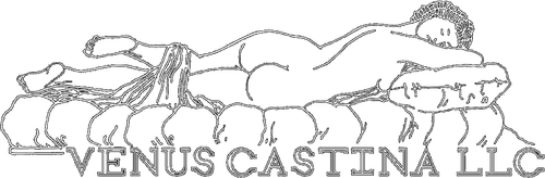 Venus Castina Productions