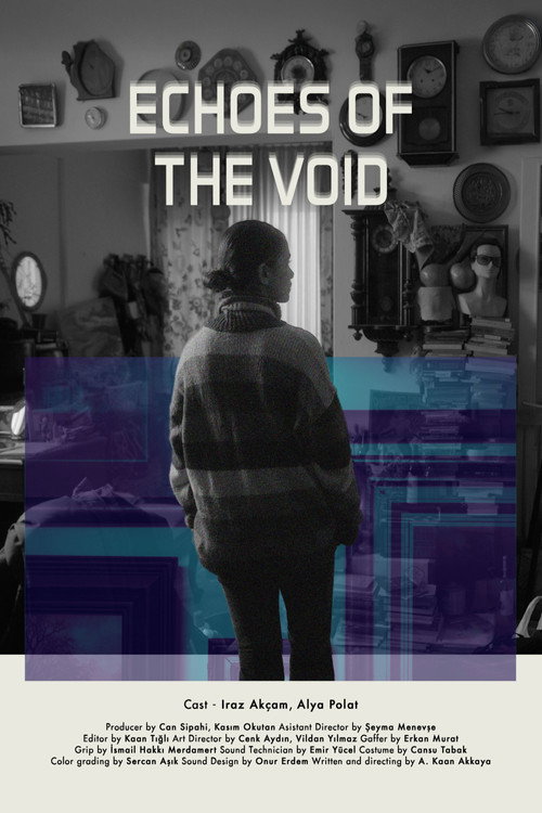 Echoes of the Void