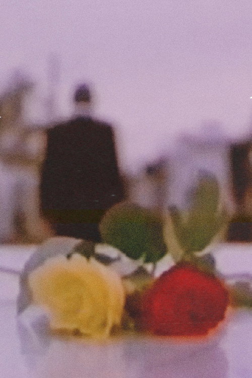 Rosas