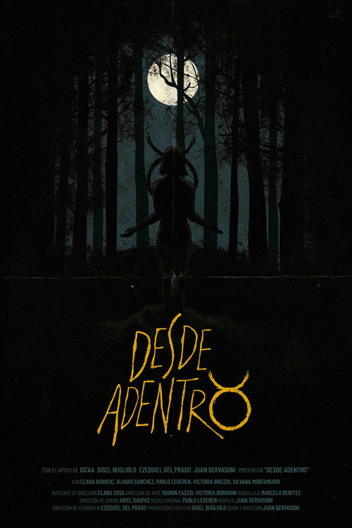 Desde Adentro