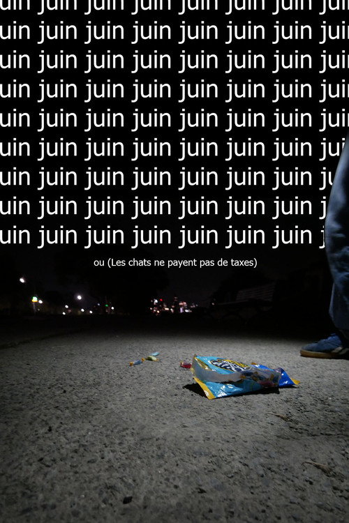 Juin ou (Les chats ne payent pas de taxes)