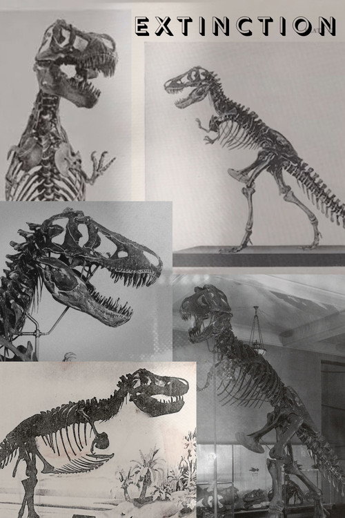 Extinction