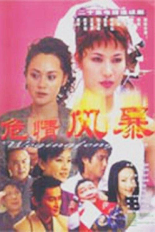 危情风暴