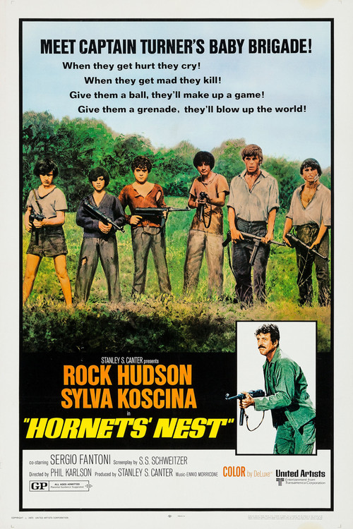 Hornets' Nest