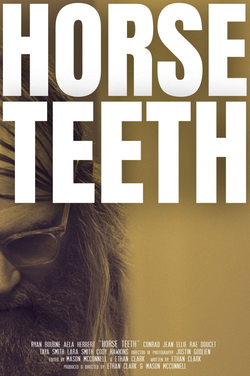 Horse Teeth