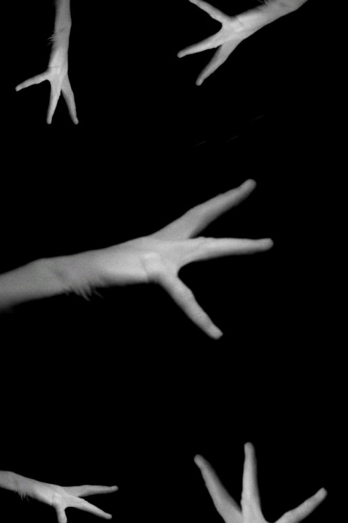Phantom Hand