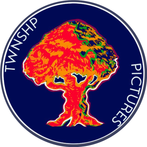 Twnshp Pictures
