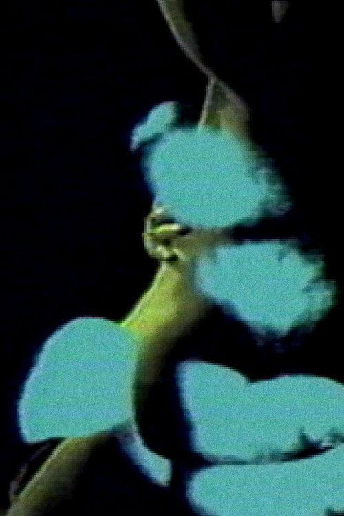 Letter to a Lover