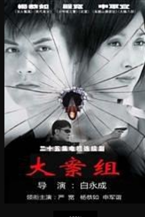 大案组