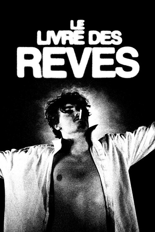 Le livre des rêves