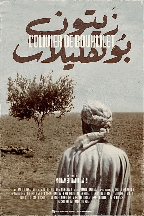 The Olive Tree of Boul'hivet
