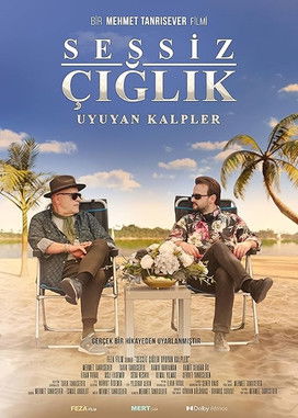 Sessiz Çığlık