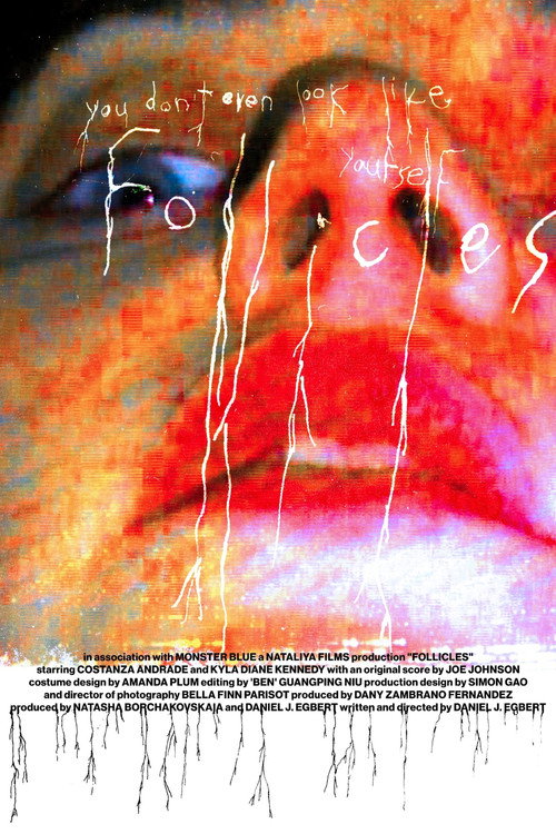 FOLLICLES