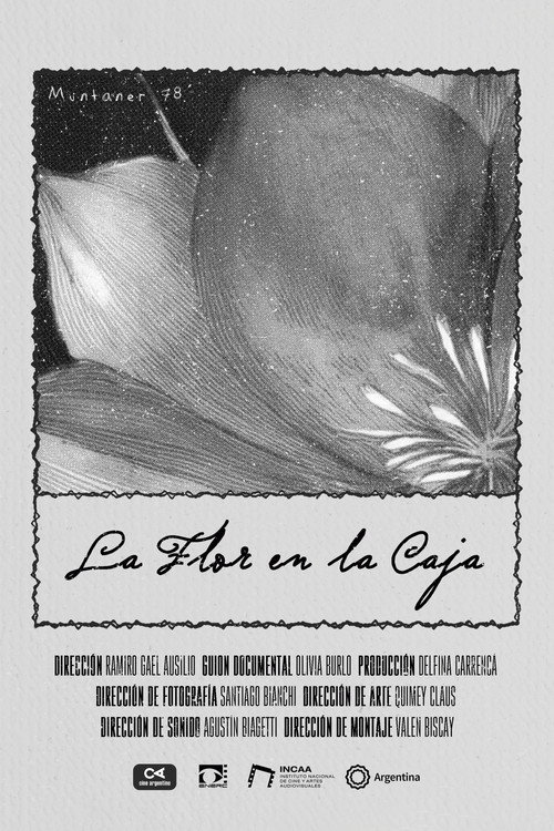 The Flower in the Box