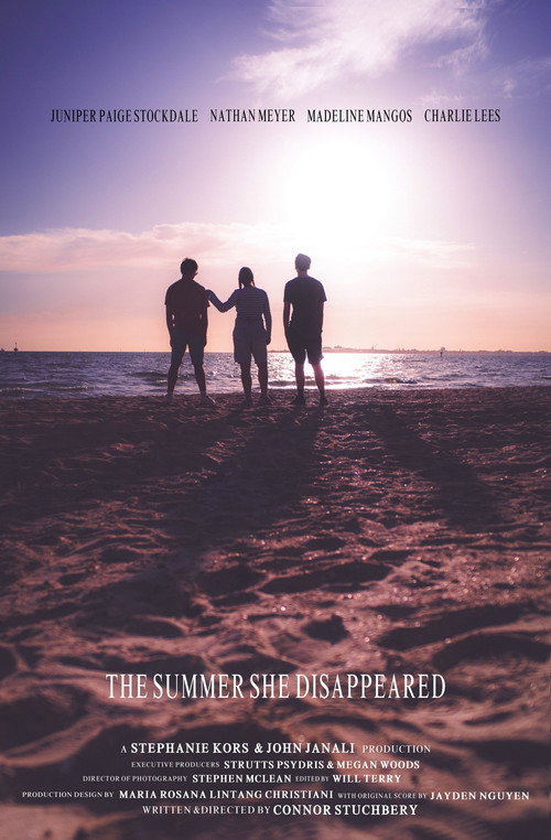 The Summer She Disappeared