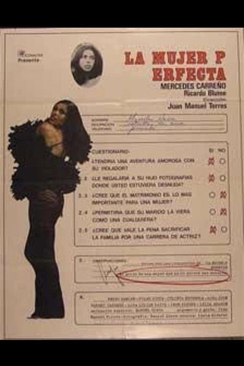 The Perfect Woman
