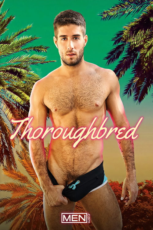 Thoroughbred