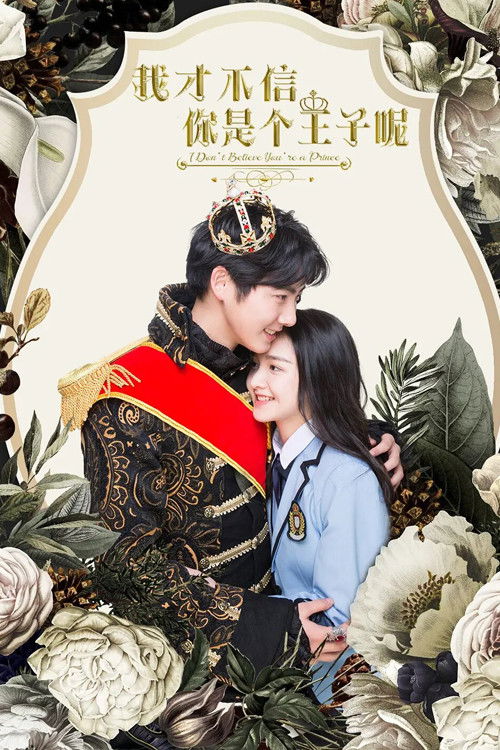 I Don't Believe You're a Prince