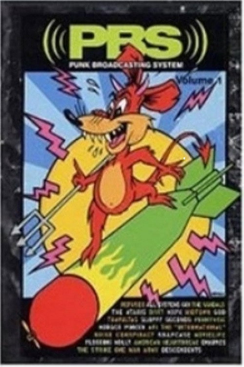 PBS: Punk Broadcasting System