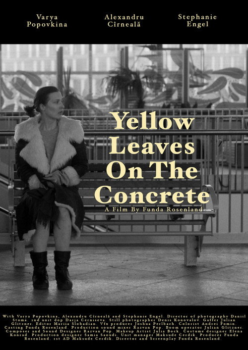 Yellow leaves on the concrete