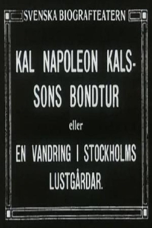 Kal Napoleon Kalsson's Stroke of Luck