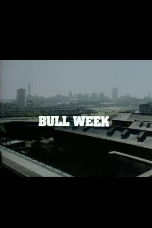 Bull Week
