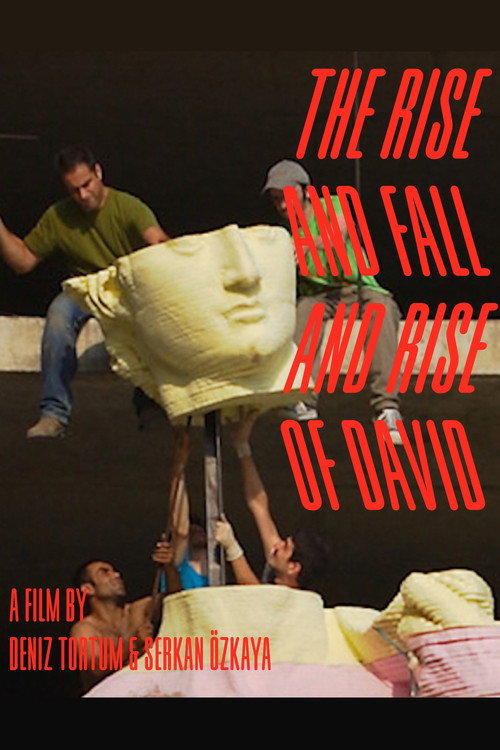The Rise and Fall and Rise of David