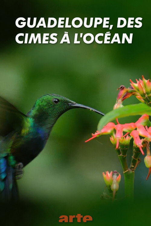 Guadeloupe, from Summits to Ocean