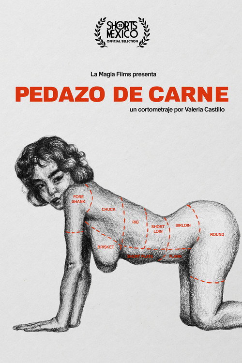 Pedazo de carne