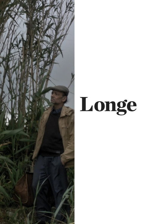 Longe