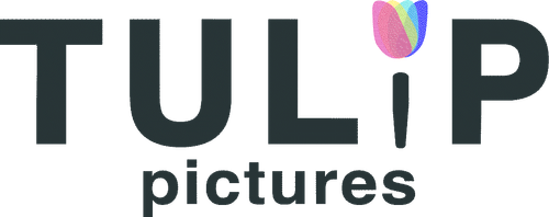 Tulip Pictures