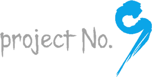 project No.9
