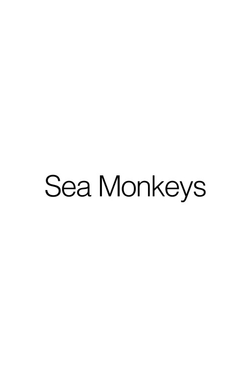 Sea Monkeys