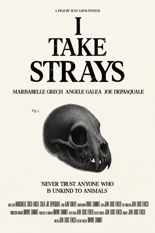 I TAKE STRAYS