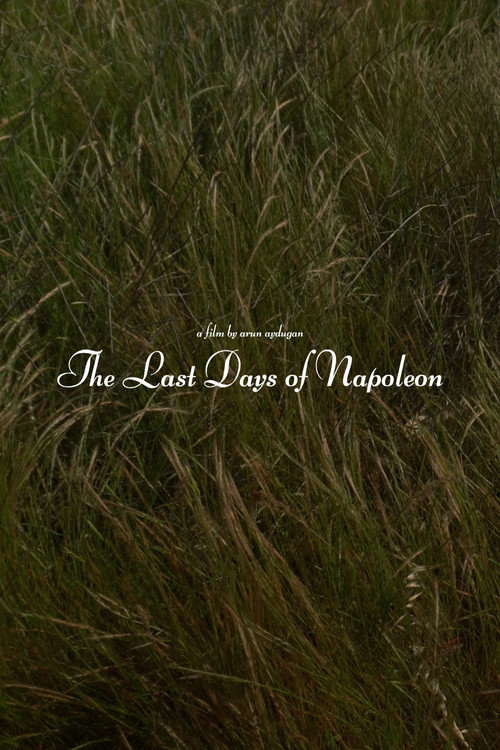 The Last Days of Napoléon