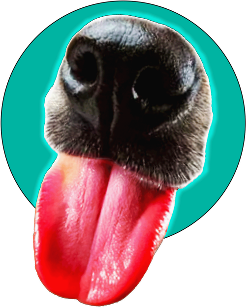 Dog Unlimited