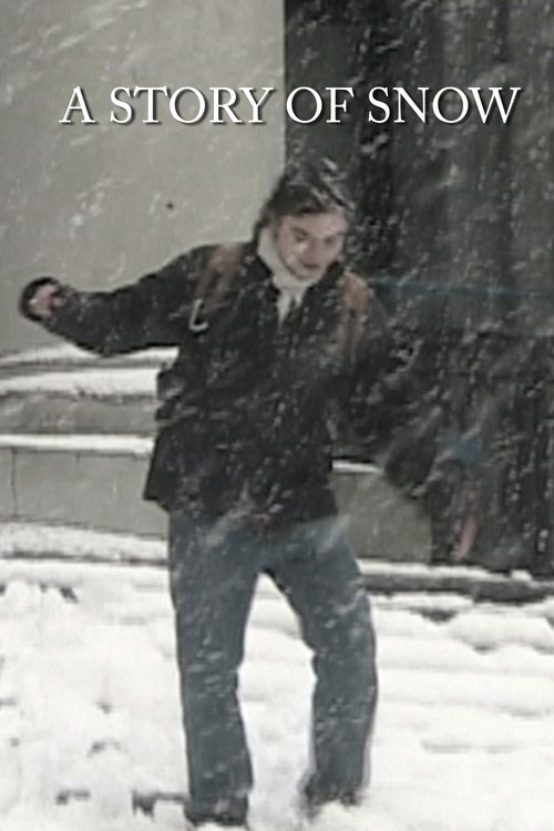 A Story of Snow