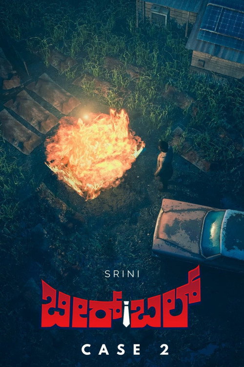 Birbal: Case 2
