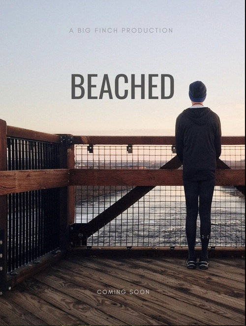 Beached