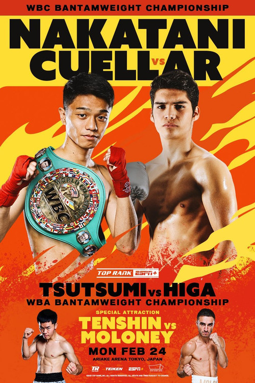 PRIME VIDEO BOXING 11