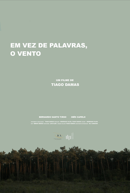 Em vez de palavras, o vento