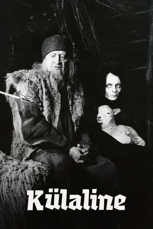 The Visitor
