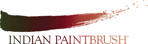 Indian Paintbrush